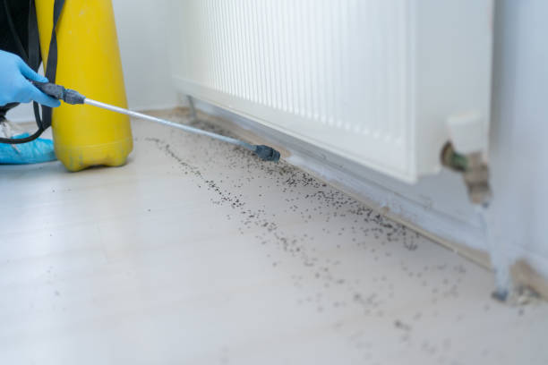 Best Bed Bug Extermination  in Kenworth, IL